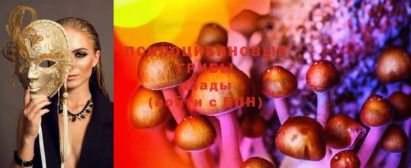 ПСИЛОЦИБИНОВЫЕ ГРИБЫ Наволоки