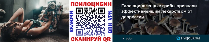 Галлюциногенные грибы прущие грибы  Купить где  Владимир 