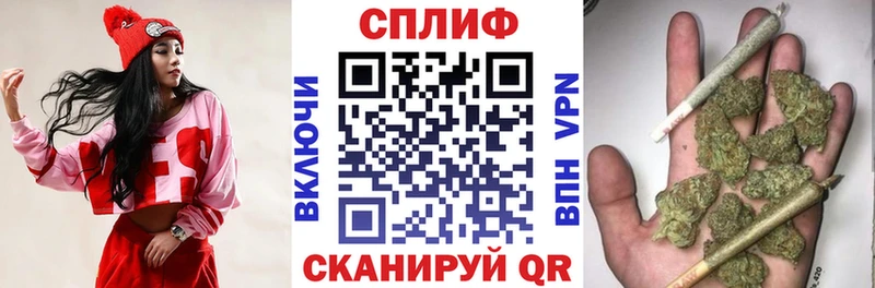 Купить где  Владимир  Каннабис MAZAR 